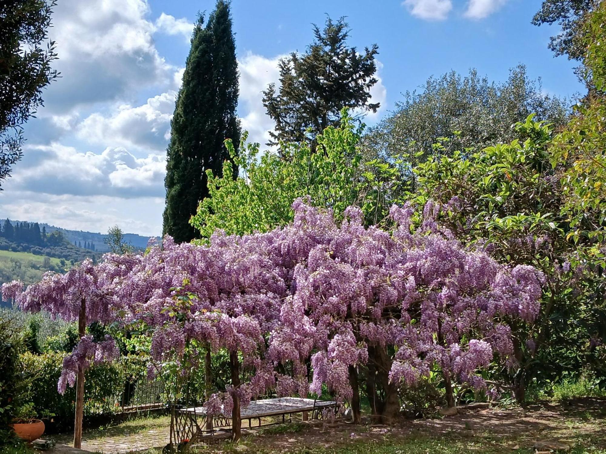 Agriturismo Villa Gorgognano Certaldo Eksteriør billede