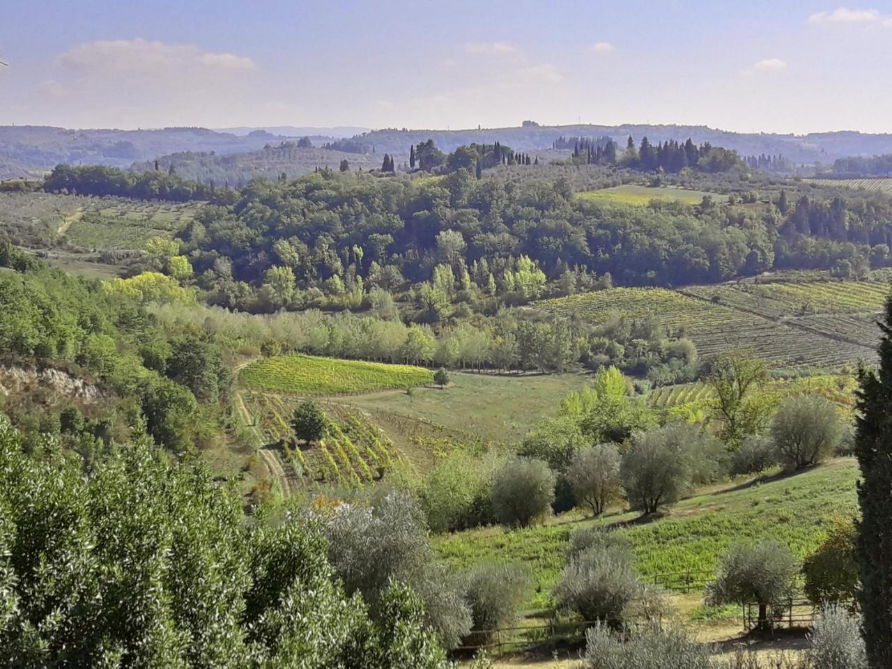 Agriturismo Villa Gorgognano Certaldo Eksteriør billede